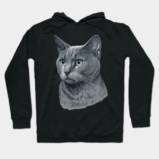 Gorgeous Gray Cat with Stunning Blue Eyes Hoodie